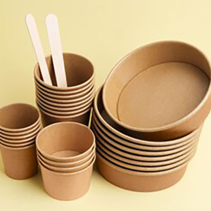 Paper Bowl
