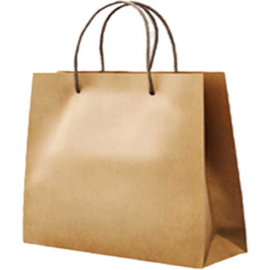 Kraft Paper Bag (Large) 50pieces