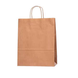 Kraft Paper Bag (Medium) 50pieces